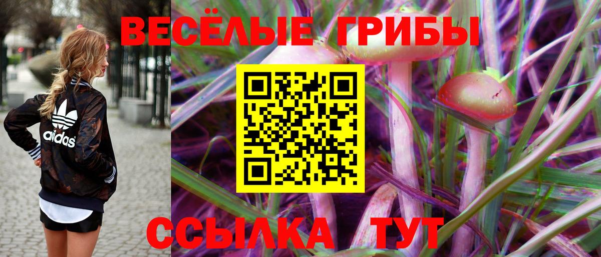 Псилоцибиновые грибы Psilocybe  Вход с VPN  Сосновоборск  Галлюциногенные грибы GOLDEN TEACHER 